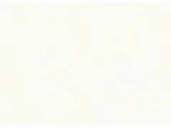 Zijdevloeipapier Folia 50x70cm 20gr nr00 wit 10 vel