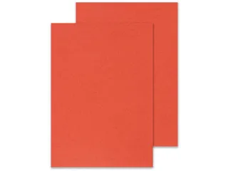 Dekblad A4 Rood Lederlook 250 Grams Pak 100 Stuks - 4