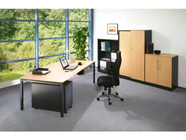 schuifdeurkast,HxBxD 1310x1000x440mm,2xStalen bodem,3 OH