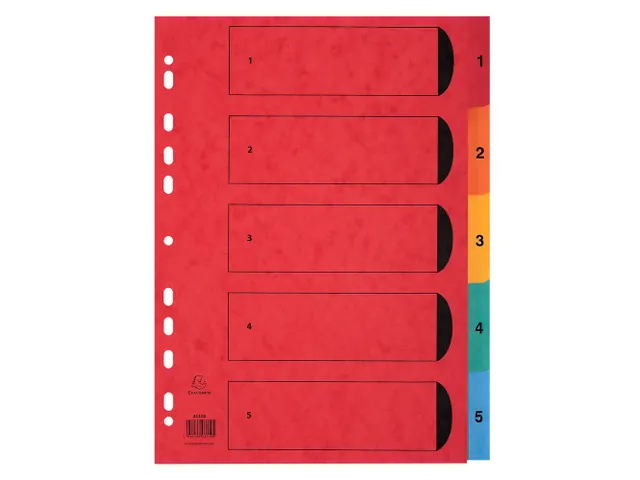 Intercalaires carte lustrée avec onglets imprimés numériques - 5 po