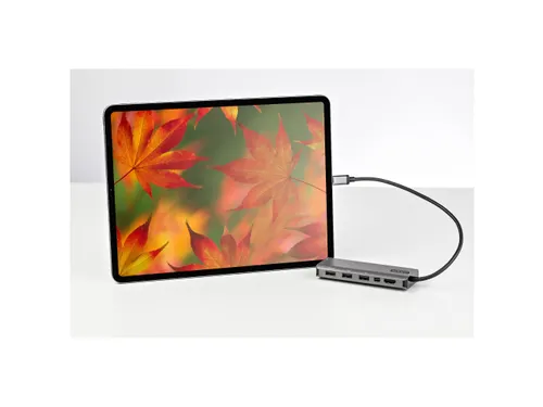 USB-C Multiport Adapter Mini Dock 4K 60Hz 100W PD 10Gbps