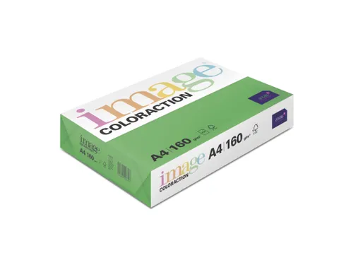 Kopieerpapier Dublin Donkergroen A4 160 Gram 250 Vel