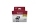 Inktcartridge Canon PGI-520BK zwart 2 stuks
