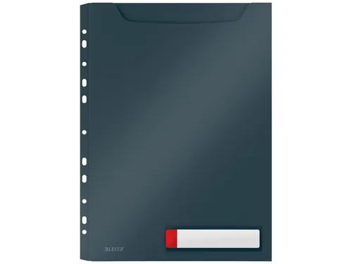 Insteekmap U-model Leitz Cosy harmonica A4 met perforatiestrip PP grij