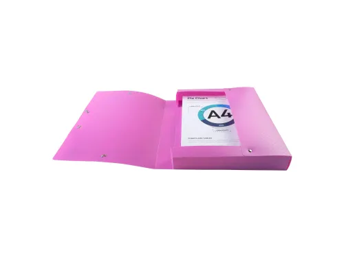 Klasseerdoos rug 40m m PP Forever Young