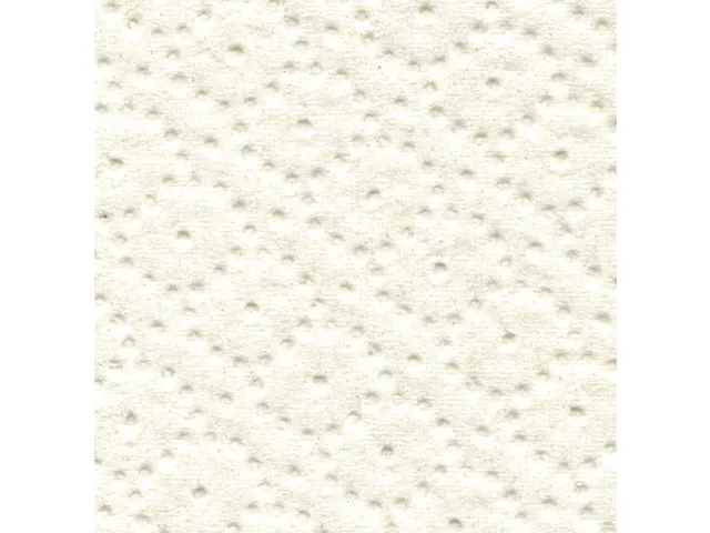 Handdoekrol Satino Comfort PT1 2-laags 150m wit 317940