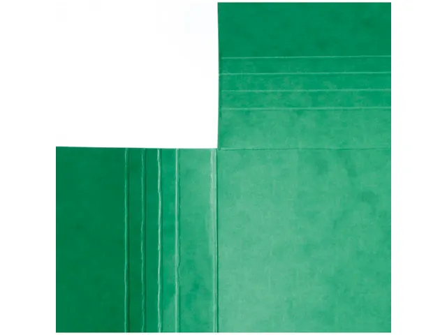 Elastomap Maxi capacity glanskarton 425gm² A4 Assorti