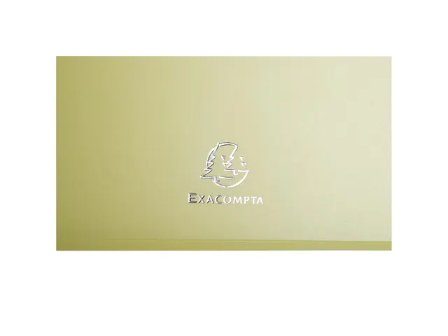 Boite de classement Exabox Dos 25mm Polypropylène 7/10e Chromaline pa