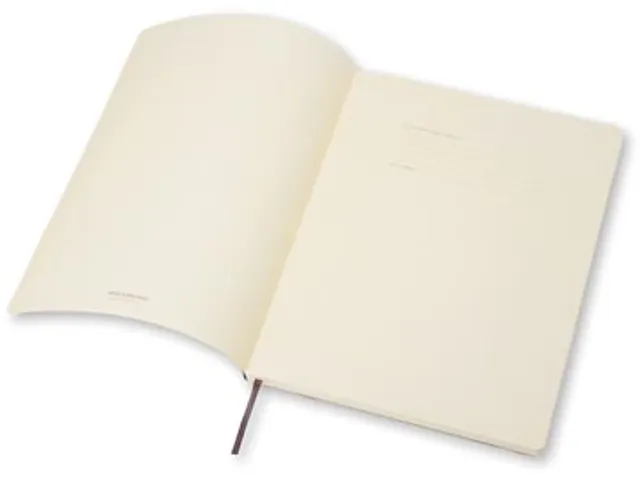 Carnet De Notes, Ft 19 X 25 Cm, Quadrillé, Couverture Flexible, 192 P