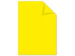 papier Kangaro A4 160 gram pak a 50 vel geel - 1