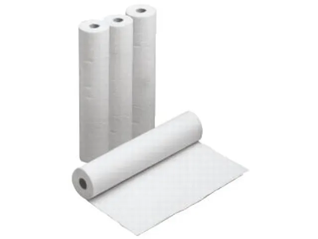 Papierrollen Voor Rust- En Onderzoeksbanken L 50M B 500Mm