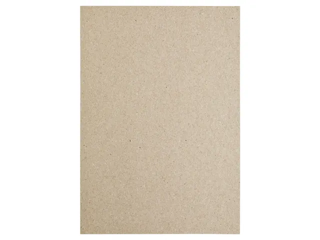 Kopieerpapier Papicolor A4 220gr 6 vel kraft grijs