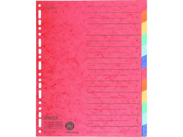 Tabblad recycled karton A4+ 12tabs