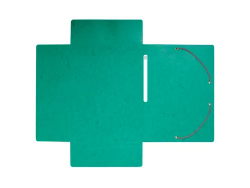 Elastomap glansk.425 3klep Max Cap groen