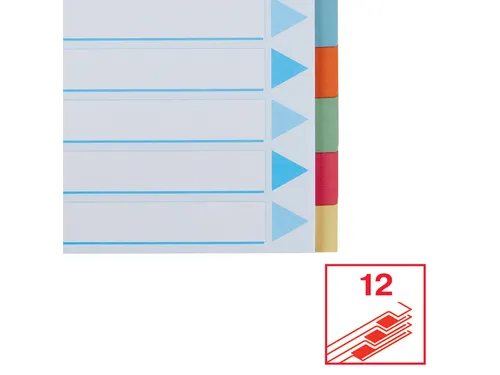 Tabbladen Esselte Premium A4 12-delig karton 23-rings assorti