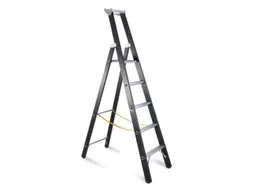 Zwaarlastladder Aluminium Boom L 2 15M 5Sporten Bordes H 1 33M