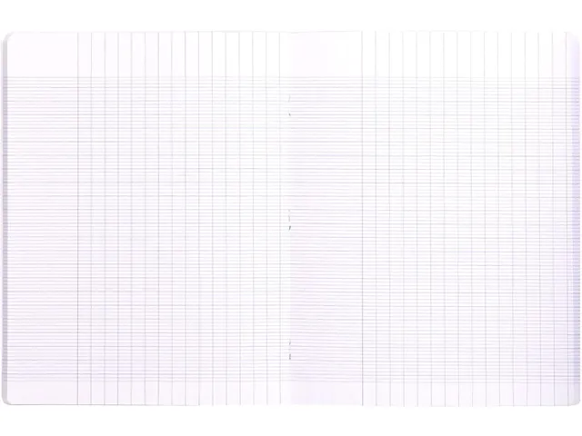Schrift Mimesys A4+ 48 vel Seyès, kaft in PP Wit