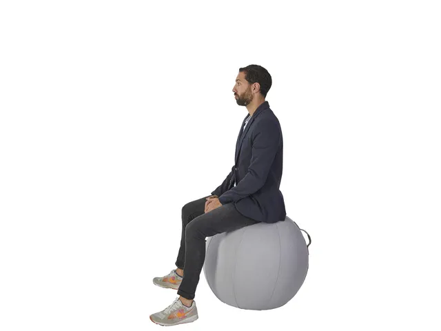 Ergoball ergonomische zitbal grijs Ø 65 cm.
