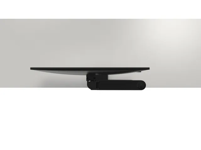 19 - 38 inch, 2.2 - 10 kg, VESA 100 x 100