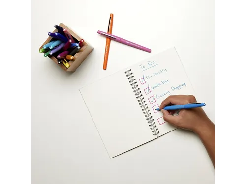 Fineliner Paper Mate Flair Original medium zwart valuepack à 36 stuks
