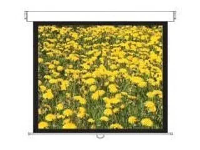 Optoma DS-3120PMG+ projectiescherm 4:3 120 Inch