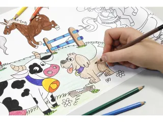 Tekenrol Info Creative Farm 300mm x 4m - 6