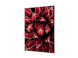 Wanddecoratie Textiel Set A2 Cactus Rood - 1