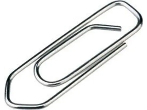 Paperclips Klein 25mm Staal 100 Stuks