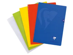 schrift mimesys A4+ PP seyès assorti