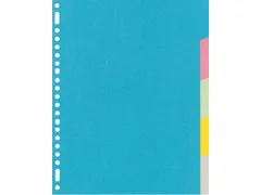 Tabbladen Kangaro A4 23-gaats RY405M 5-delig assorti karton