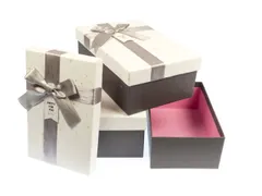 Geschenkdoos H21-02B