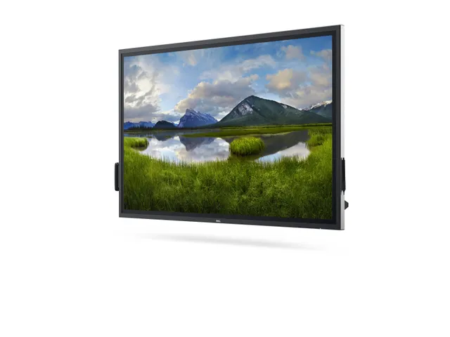 64.53 inch 4K UHD 3840 x 2160, IPS, 16:9, 350 cd/m² 1.07 Billon, 9 ms