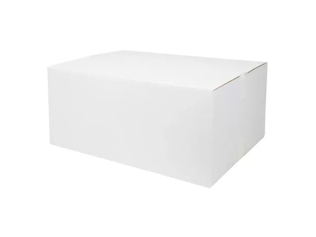 Z-vouwhanddoek 1-laags Natuur Recycled Doos A 20 X 250vel