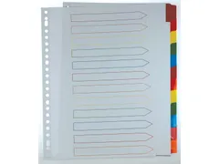 Tabblad karton A4 Assorti 12-delig 11-gaats Index