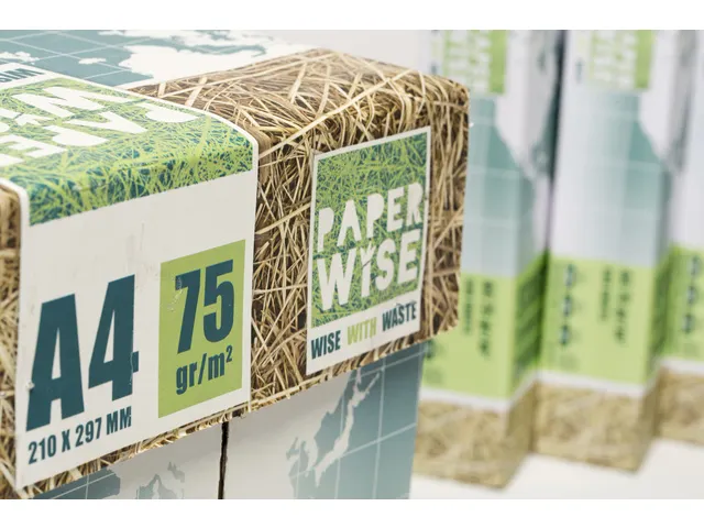Kopieerpapier PaperWise A4 wit 75 grams doos a 5 pakken