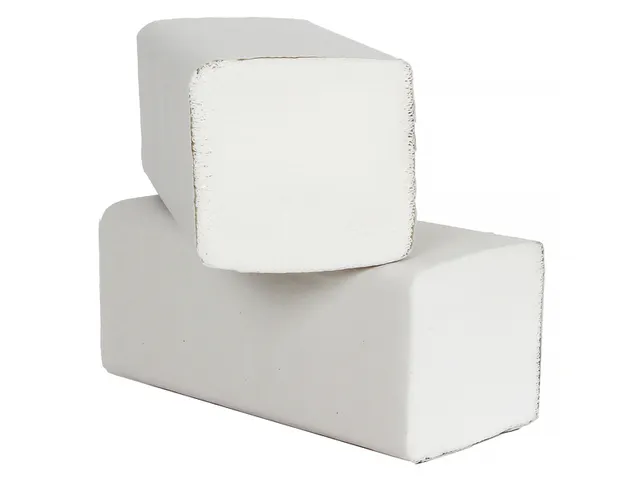 Handdoek Blanco Z-vouw 2-Laags 24x21cm 20x160 stuks
