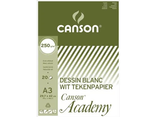 tekenpapier Academy 250 g 29,7 x 42 cm A3 20 vel