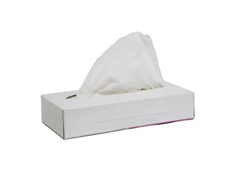 Facial Tissue Zakdoekje Eco Cellulose 2-laags Wit doos 40x100 stuks