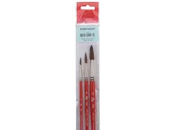 Aquarelverf Penselenset 150, Set Met 3 Penselen