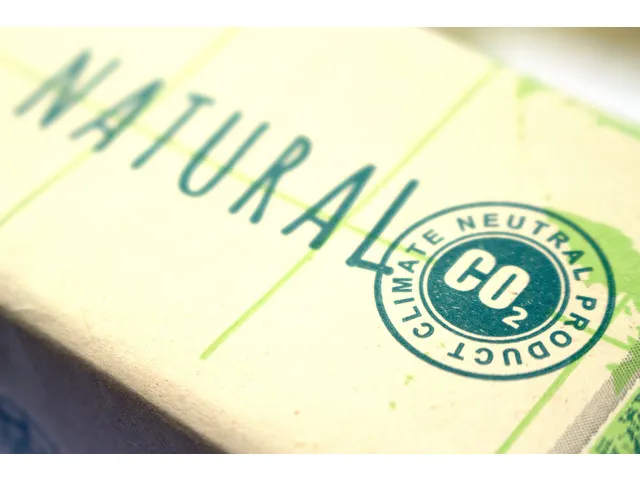 Kopieerpapier PaperWise A4 Co2 Neutraal 72 Gram Naturel Wit