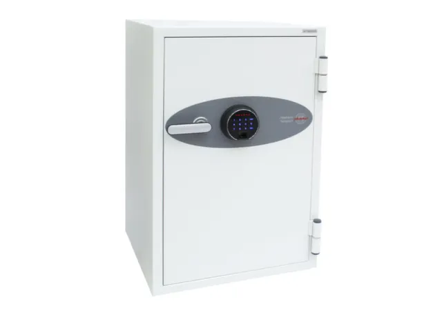 brandkast,60-90min. brandveiligheid,HxBxD 820x520x520mm,1niveaus