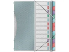 Colour'Breeze sorteermap PP A4 12 tabs assorti