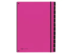 Sorteermap Pagna Trend 12 vaks A4 Pp Donkerroze