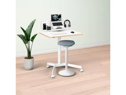 Ergo Mobiele Thuiswerkplek set pakket 1