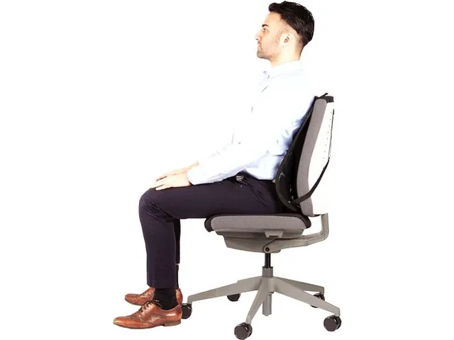 Rugsteun Fellowes Office Suites Gaas 512x409x141 mm zwart