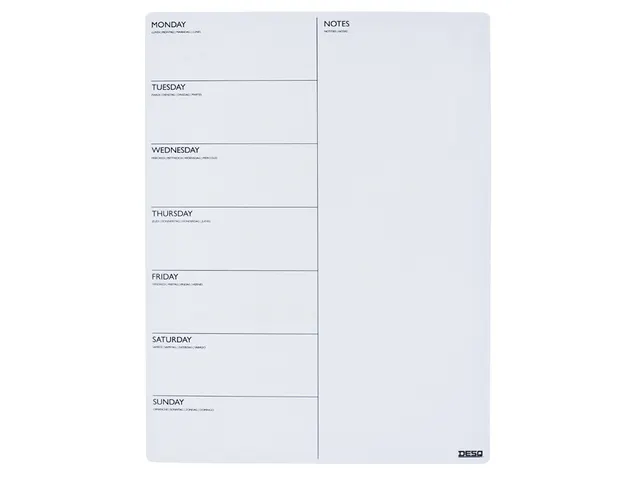Magnetische planner Desq week 40x30cm magnetisch