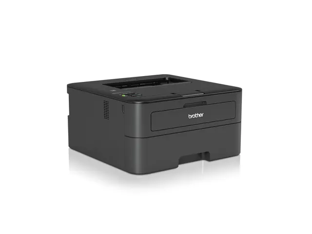 Printer Laser Brother HL-L2865DW