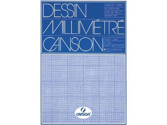 Millimeterblok Canson A3 blauw