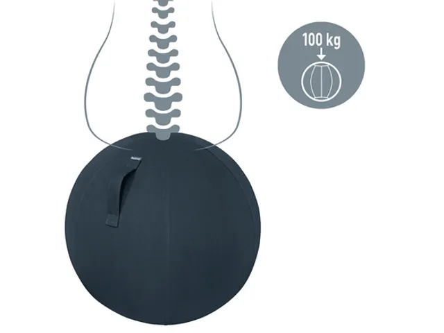 Leitz Ergo Cosy Actieve Zitbal Fluweel Grijs