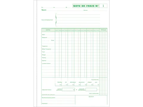 Manifold Kostennota 29,7x21 50bl dupli